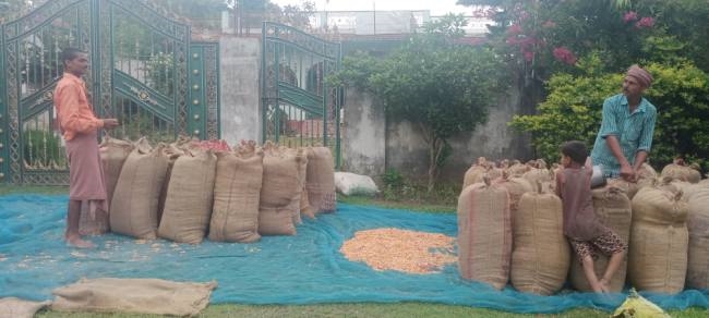 यास तूफान ने बदला मौसम का मिजाज, तेज हवा की रफ्तार व बारिश होने से गर्मी से मिली राहत