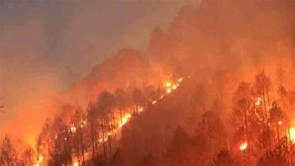 Uttarakhand Forest Fire: उत्तराखंड में हर दिन सुलग रहा औसतन 31.75 हेक्टेयर जंगल