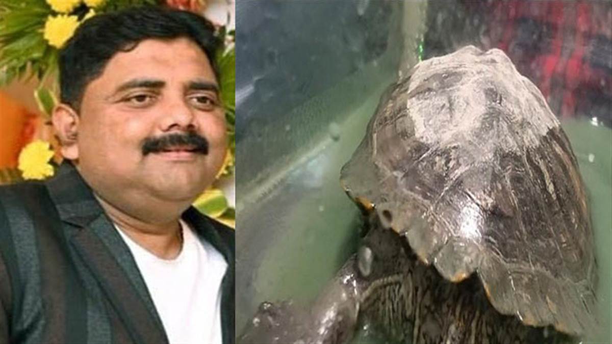 Jharkhand News: प्रेम 'साहब' के घर से मिला कंबोडिया का कछुआ... ईडी अफसरों के होश उड़े