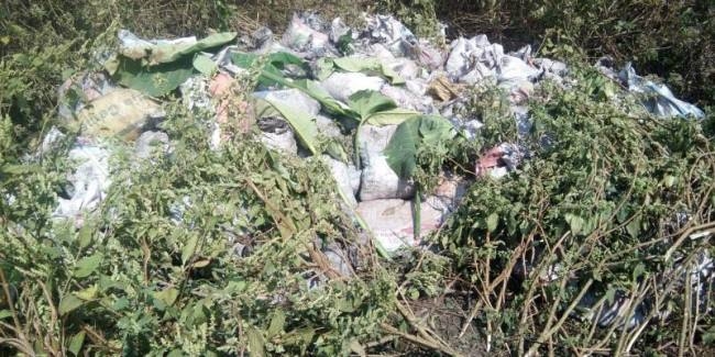 केशलपुर के अवैध उत्खनन का खुलासा, 300 बोरा कोयला व सीढ़ी बरामद