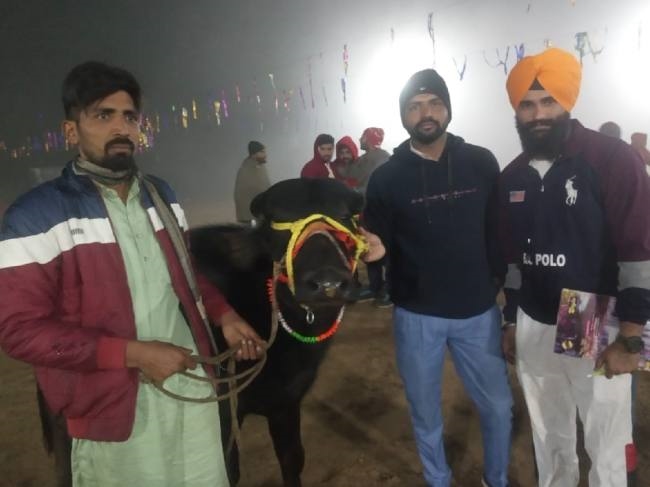 ओपन कबड्डी टूर्नामेंट में घांगा की टीम बनी विजेता
