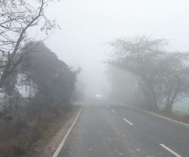 मौसम ने ली करवट, सुबह कोहरे के बाद खिली धूप, जानिए कल कैसा रहेगा मौसम