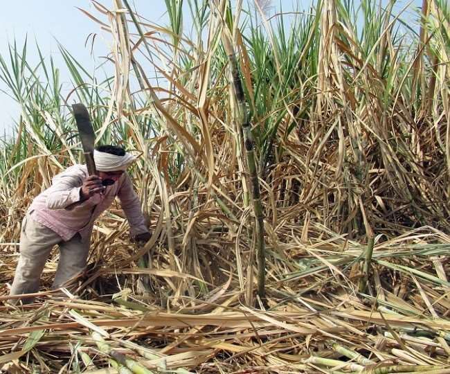 प्रचार के दौरान राजनीतिक दलों के बड़े-बड़े बयान, गन्ने के भुगतान के लिए भटकते घूम रहे किसान