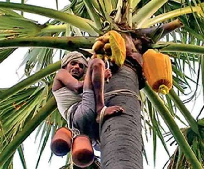 ताड़ी के उत्पादन एवं बिक्री में जुड़े परिवारों का होगा सर्वे, 15 फरवरी तक सर्वे कार्य पूर्ण करने का निर्देश
