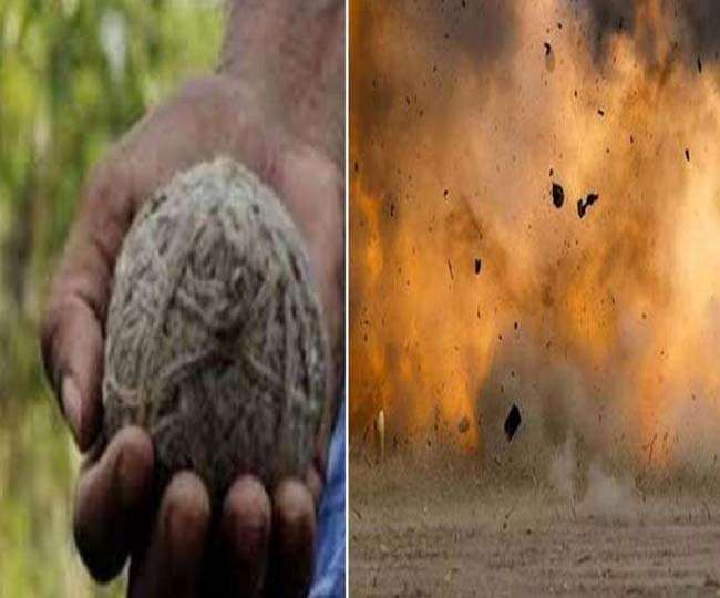 साहिबगंज: गली क्रिकेट में जिसे गेंद समझ बच्चे ने लगाया शाट वह निकला बम, विस्फोट में उड़ गई हाथ की अंगुलियां