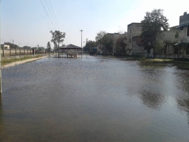 हाऊसिग बोर्ड कालोनी के पार्क में भरा पानी बना परेशानी