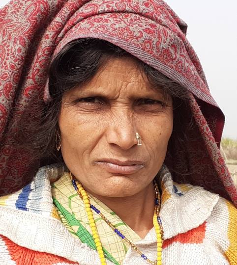 राजनीतिक दलों को नहीं दिखता गन्ना किसानों का दर्द