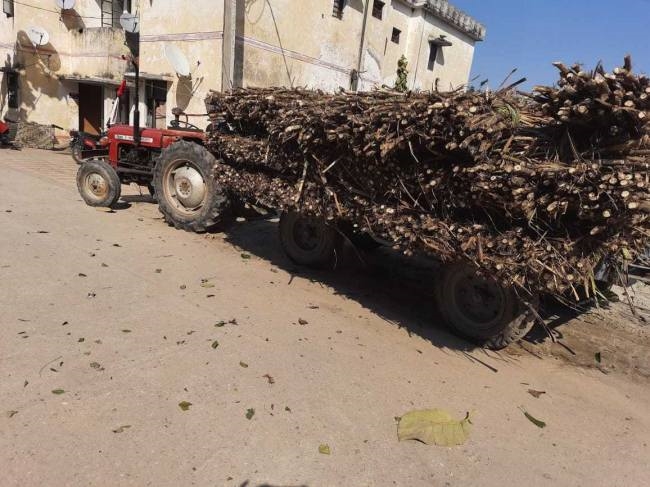 सठेड़ी से गन्ना लदी ट्राली चोरी, कम्हेड़ा से बरामद