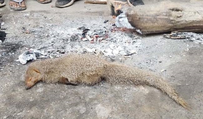 गोते लगा रहा तापमान, ठंड से कांप रहे लोग