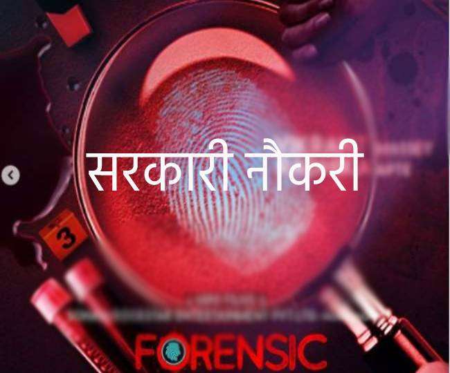 फोरेंसिक फिल्म के हीरो जैसी नौकरी चाहिए तो करें बिहार में अप्लाई, बड़े पैमाने पर हो रही है बहाली