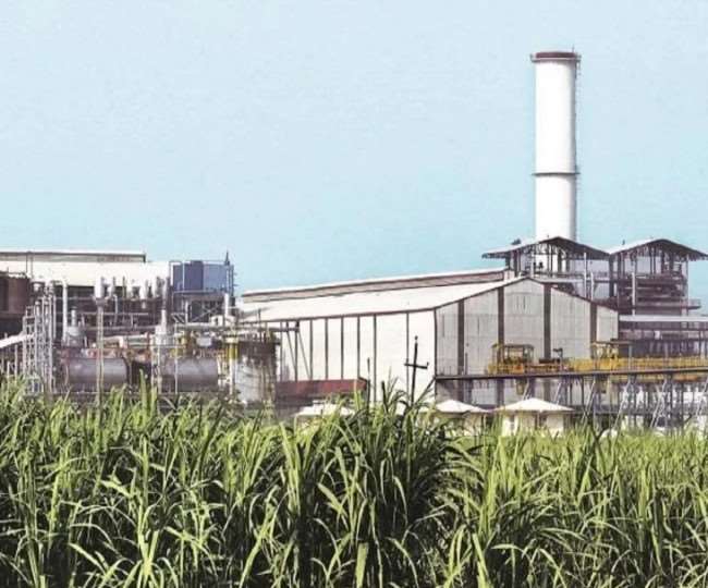 पानीपत शुगर मिल में घोटाला, तीन सालों में बेचा 30 लाख का शीरा, 10 कर्मचारियों को किया चार्जशीट