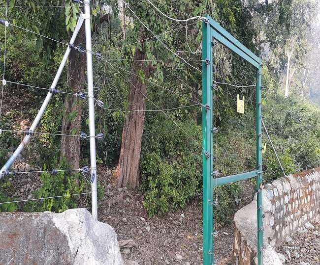 चोरों ने काटी जिम कार्बेट के जंगल में लगी सोलर फेसिंग, बढ़ी घुसपैठ की आशंका