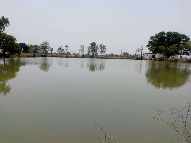 तालाब, पोखर के अस्तित्व पर खतरा, उपेक्षाओं से तालाबों के विरासत पर संकट