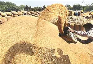 30 क्रय केंद्रों पर पसरा रहा सन्नाटा