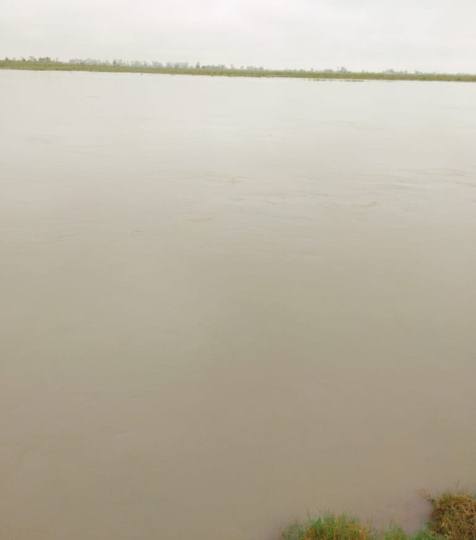 बढ़ने लगा यमुना का जलस्तर, अलर्ट