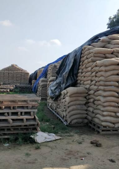 गेहूं का उठान न होने से मिल मालिक परेशान