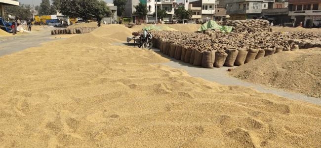 धान की खरीद के साथ लिफ्टिग भी हुई तेज