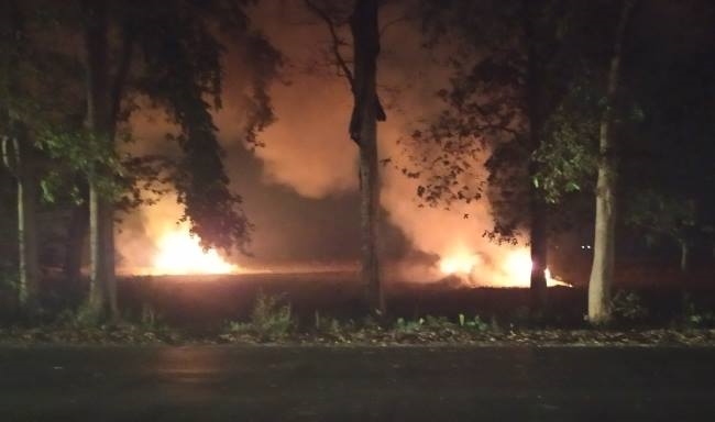 प्रशासन के रोक के बावजूद खेतों में जल रही पराली, अफसर बेखबर