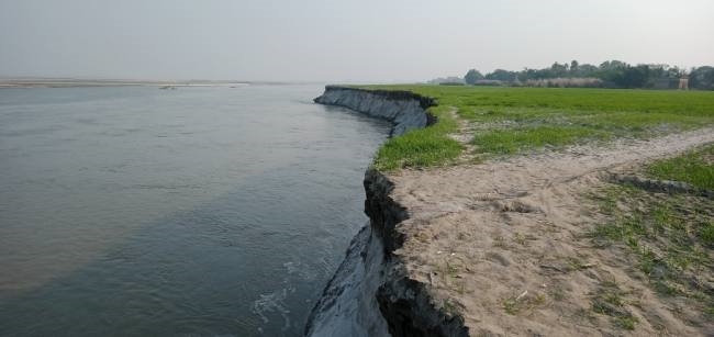 बिदटोलिया में कटान जारी, नदी में समा रहे गेहूं बोए खेत