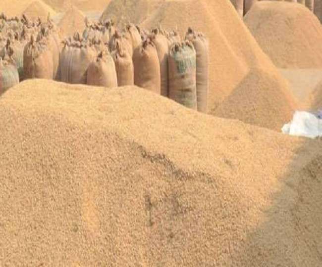 लक्ष्य के मुकाबले पश्चिम चंपारण के बगहा में महज 40 फीसद हो सकी खरीद, किसान परेशान