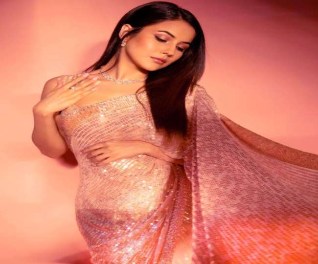Bigg Boss 15: शहनाज गिल ने शेयर किया अपना बिग बॉस 15 का लुक, शिमरी साड़ी में फैंस पर ढाया कहर