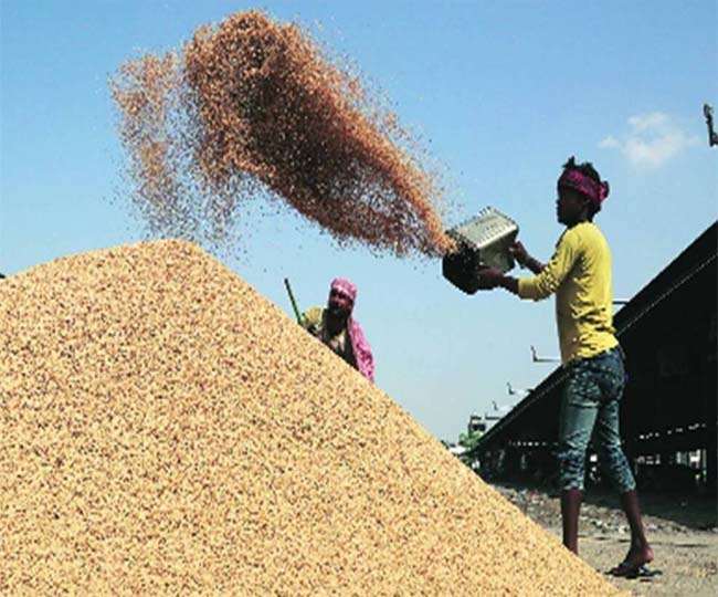 झारखंड में धान रखने की जगह नहीं, अभी तक 18 प्रतिशत ही हुई खरीदारी, आकड़ों मे देखें