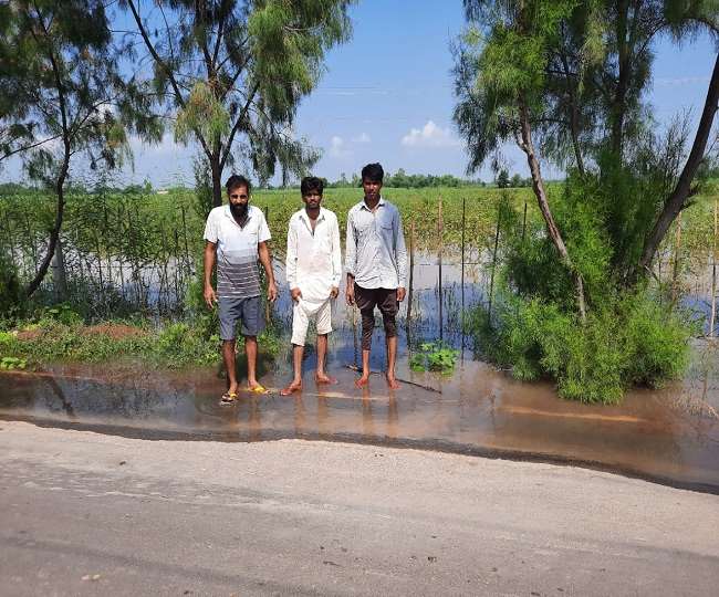 फतेहाबाद में सेम ग्रस्त एवं लवणीय भूमि सुधार योजना, कैसे होगी कारगर, शर्तें अधिक
