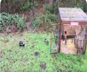 वीडियो देख ऐसा लगता है कि पहले भी इस तकनीक और जुगाड़ का इस्तेमाल किया जाता रहा है।