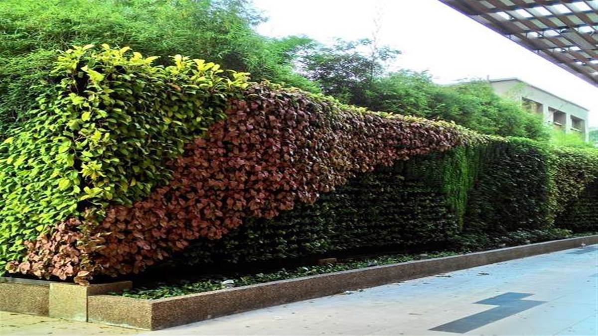 महाकुंभ में पर्यटकों को ग्रीनरी से होगा फील गुड, वर्टिकल गार्डेन से हरे होंगे रेलवे ओवरब्रिज और फ्लाई ओवर