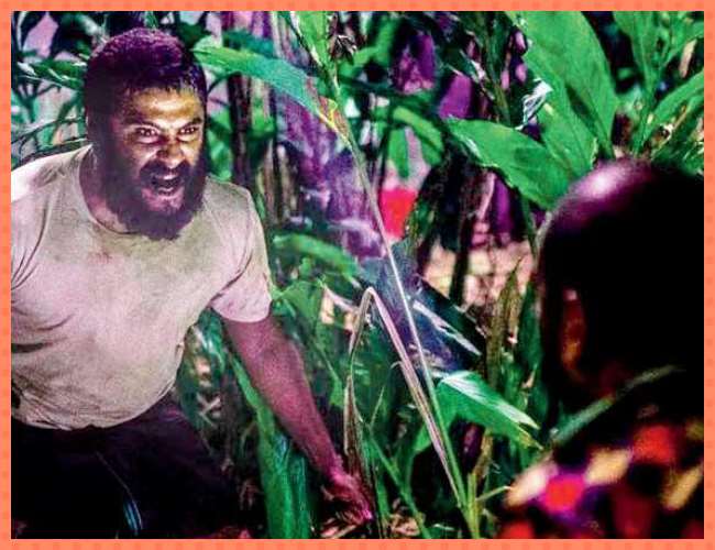 इन विदेशी फ़िल्मों की वजह से चूर-चूर हो गया भारत का ऑस्कर जीतने का सपना, क्या 'जलीकट्टू' से होगा पूरा?