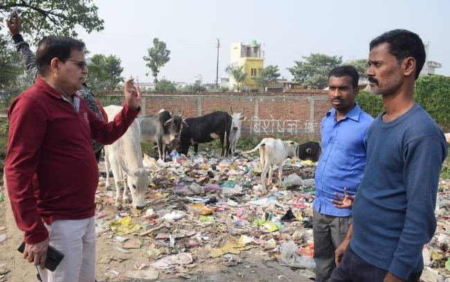 बरेली में कूड़े के ढेर पर गोवंश का डेरा, समाधान तलाशने निकले अफसर