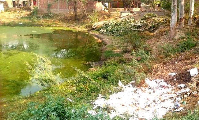 तालाब का दूषित पानी दे रहा संक्रामक रोगों को न्योता