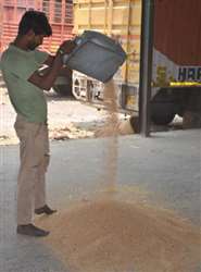 मानक के विपरित तौल कराने पर जसपुर क्रय केंद्र प्रभारी निलंबित