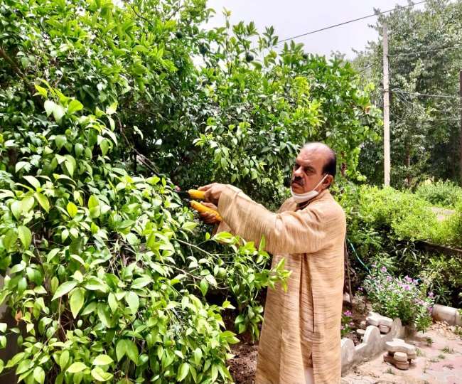 आओ रोपें अच्छे पौधे : भिवानी में ठाकुर विक्रम सिंह का पर्यावरण प्रेम दे रहा हरियाली बचाने का संदेश