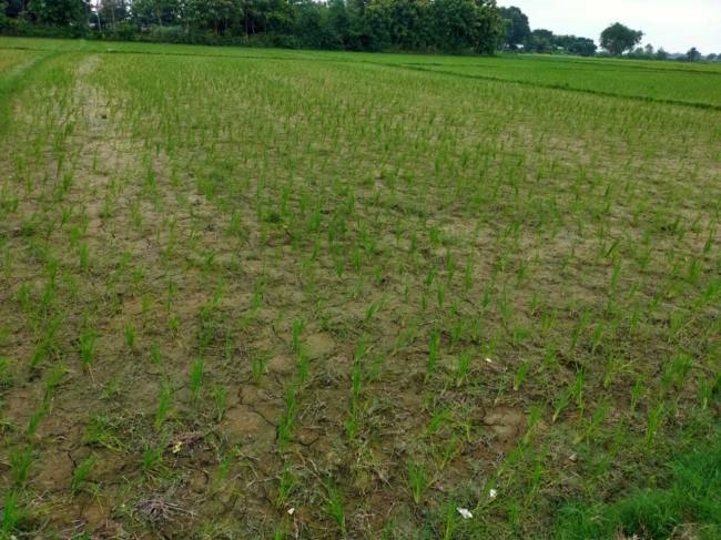 भभुआ में हल्की बारिश से मौसम हुआ सुहाना, गर्मी से लोगों को मिली राहत