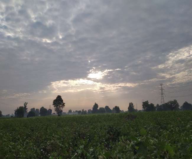 Haryana Monsoon News : हरियाणा में 1 से 5 सितंबर तक परिवर्तनशील बना रहेगा मौसम, गर्मी कम होने के आसार