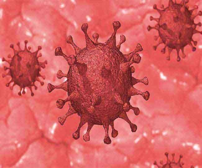 Uttarakhand Coronavirus Update: उत्तराखंड में आज आए कोरोना के 15 नए मामले, छह मरीज हुए स्वास्थ्य