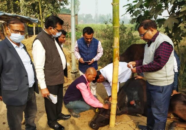 विशेषज्ञों की टीम ने बनकटी में प्रभावित पशुओं का जाना हाल