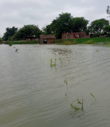 भूमिहीन व बाहरी लोगों को भी बांट दिया फसल नुकसान का मुआवजा