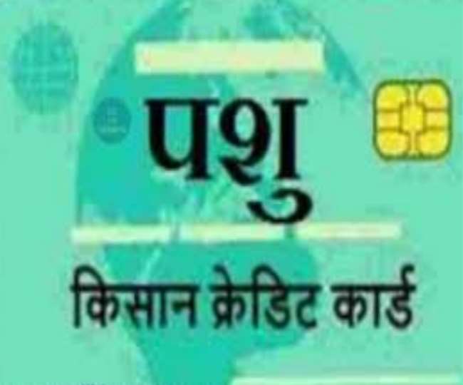बहादुरगढ़ एसडीएम ने गिनाए पशु किसान क्रेडिट कार्ड के फायदे, कहा-इससे आत्मनिर्भर बनेंगे पशुपालक