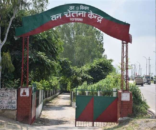 मुरादाबाद के लोग जल्द ही हिरन-बारहसिंघा के कर सकेंगे दीदार, शहर में खुलने जा रहा है चिड़ियाघर, जमीन कर ली गई है चिह्नित