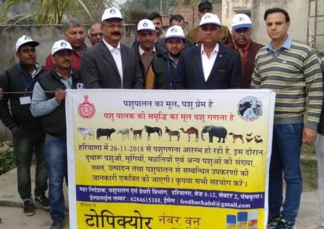 25 सुपरवाइजर और 78 प्रगणक करेंगे पशुओं की गणना : एसडीएम