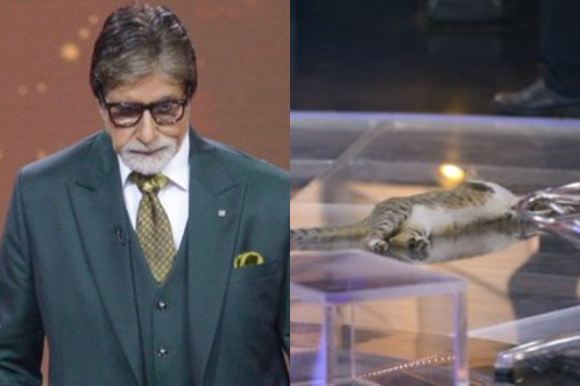 Entertainment News LIVE 22 Nov: टॉप 5 में नहीं पहुंचे केबीसी 11, बिग बॉस 13 और द कपिल शर्मा शो