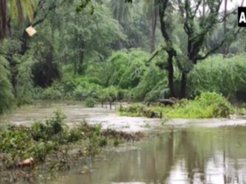 हैदराबाद में नेहरू जूलॉजिकल पार्क में जलभराव