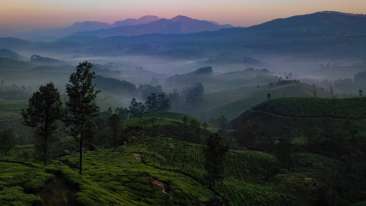 वायनाड (Pic credit- pexels)