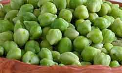 Health benefits of green chickpea for good diet Health benefits of green chickpea for good diet