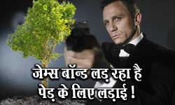 James Bond actor Daniel Craig wins his fight against neighbours to keep an 80ft tree at his garden in London James Bond actor Daniel Craig wins his fight against neighbours to keep an 80ft tree at his garden in London
