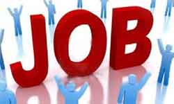 Four hundred government jobs vacancy 2017 read here Four hundred government jobs vacancy 2017 read here