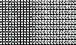 Can YOU spot the panda among the Tic Tac Can YOU spot the panda among the Tic Tac