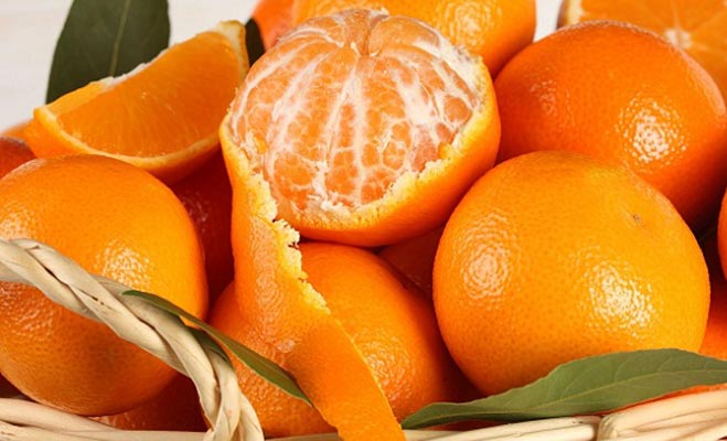 Food for summre 4